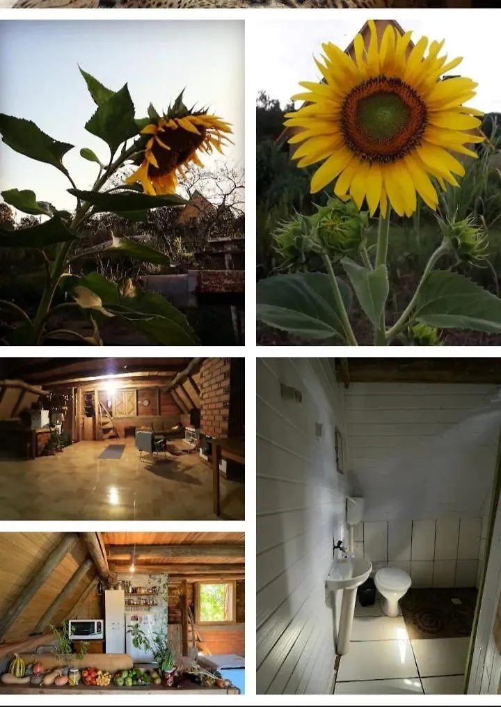 Toca Das Sementes Maria Preta Country house